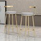 Modern Style Iron Bar Stool with Footrest Low Back Milk Tea Shop Simple Bar Stool Clearhalo 'Bar Furniture' 'Bar Stools' 'bar_stools' 'furn' 'furn_bar_stools' 'furniture_bar_stools' 'Kitchen & Dining Furniture' 'kitchen&dining_furn' 'kitchen' 'kitchen_furn' Furniture' 4537422