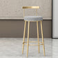 Modern Style Iron Bar Stool with Footrest Low Back Milk Tea Shop Simple Bar Stool Clearhalo 'Bar Furniture' 'Bar Stools' 'bar_stools' 'furn' 'furn_bar_stools' 'furniture_bar_stools' 'Kitchen & Dining Furniture' 'kitchen&dining_furn' 'kitchen' 'kitchen_furn' Furniture' 4537426