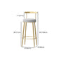 Modern Style Iron Bar Stool with Footrest Low Back Milk Tea Shop Simple Bar Stool Clearhalo 'Bar Furniture' 'Bar Stools' 'bar_stools' 'furn' 'furn_bar_stools' 'furniture_bar_stools' 'Kitchen & Dining Furniture' 'kitchen&dining_furn' 'kitchen' 'kitchen_furn' Furniture' 4537432