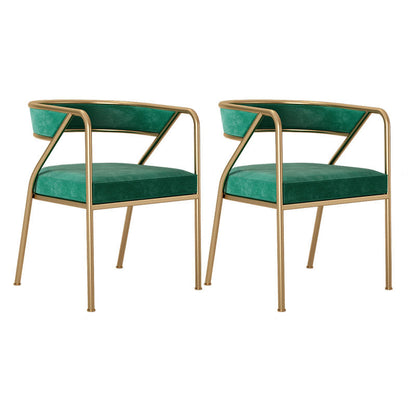 Glam Metal Arm Dining Chair Open Back Dining Side Chair for Home Use Green 2 Piece Set Clearhalo ' kitchen&dining_furn' 'Dining Chairs' 'Dining Tables & Seating' 'dining_chair' 'furn' 'furn_dining_chair' 'Furniture' 'furniture_dining_chair' 'Kitchen & Dining Furniture' 'kitchen' 4538853