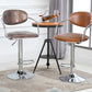 Modern Metal Low Back Bar Stool Armed Adjustable Swivel Bucket Counter Stool Clearhalo 'Bar Furniture' 'Bar Stools' 'bar_stools' 'furn' 'furn_bar_stools' 'furniture_bar_stools' 'Kitchen & Dining Furniture' 'kitchen&dining_furn' 'kitchen' 'kitchen_furn' Furniture' 4544723