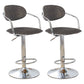 Modern Metal Low Back Bar Stool Armed Adjustable Swivel Bucket Counter Stool Smoke Gray 2 Piece Set Clearhalo 'Bar Furniture' 'Bar Stools' 'bar_stools' 'furn' 'furn_bar_stools' 'furniture_bar_stools' 'Kitchen & Dining Furniture' 'kitchen&dining_furn' 'kitchen' 'kitchen_furn' Furniture' 4544733