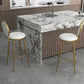 Glam Counter Bar Stool Backrest Leather Bar Stool with Footrest, Iron Base Clearhalo 'Bar Furniture' 'Bar Stools' 'bar_stools' 'furn' 'furn_bar_stools' 'furniture_bar_stools' 'Kitchen & Dining Furniture' 'kitchen&dining_furn' 'kitchen' 'kitchen_furn' Furniture' 4544923