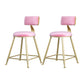 Glam Armless Backrest Counter Stool Iron Beauty Shop Bar Stool with Velvet Cushion Pink 2 Piece Set Short Stool(18"H) Clearhalo 'Bar Furniture' 'Bar Stools' 'bar_stools' 'furn' 'furn_bar_stools' 'furniture_bar_stools' 'Kitchen & Dining Furniture' 'kitchen&dining_furn' 'kitchen' 'kitchen_furn' Furniture' 4545206