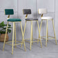 Glam Armless Backrest Counter Stool Iron Beauty Shop Bar Stool with Velvet Cushion Clearhalo 'Bar Furniture' 'Bar Stools' 'bar_stools' 'furn' 'furn_bar_stools' 'furniture_bar_stools' 'Kitchen & Dining Furniture' 'kitchen&dining_furn' 'kitchen' 'kitchen_furn' Furniture' 4545220