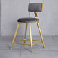 Glam Armless Backrest Counter Stool Iron Beauty Shop Bar Stool with Velvet Cushion Clearhalo 'Bar Furniture' 'Bar Stools' 'bar_stools' 'furn' 'furn_bar_stools' 'furniture_bar_stools' 'Kitchen & Dining Furniture' 'kitchen&dining_furn' 'kitchen' 'kitchen_furn' Furniture' 4545224