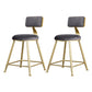 Glam Armless Backrest Counter Stool Iron Beauty Shop Bar Stool with Velvet Cushion Gray 2 Piece Set Short Stool(18"H) Clearhalo 'Bar Furniture' 'Bar Stools' 'bar_stools' 'furn' 'furn_bar_stools' 'furniture_bar_stools' 'Kitchen & Dining Furniture' 'kitchen&dining_furn' 'kitchen' 'kitchen_furn' Furniture' 4545231