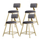 Glam Armless Backrest Counter Stool Iron Beauty Shop Bar Stool with Velvet Cushion Gray 4 Piece Set Short Stool(18"H) Clearhalo 'Bar Furniture' 'Bar Stools' 'bar_stools' 'furn' 'furn_bar_stools' 'furniture_bar_stools' 'Kitchen & Dining Furniture' 'kitchen&dining_furn' 'kitchen' 'kitchen_furn' Furniture' 4545232