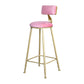 Glam Armless Backrest Counter Stool Iron Beauty Shop Bar Stool with Velvet Cushion Pink 1 Piece Clearhalo 'Bar Furniture' 'Bar Stools' 'bar_stools' 'furn' 'furn_bar_stools' 'furniture_bar_stools' 'Kitchen & Dining Furniture' 'kitchen&dining_furn' 'kitchen' 'kitchen_furn' Furniture' 4545236