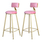 Glam Armless Backrest Counter Stool Iron Beauty Shop Bar Stool with Velvet Cushion Pink 2 Piece Set Clearhalo 'Bar Furniture' 'Bar Stools' 'bar_stools' 'furn' 'furn_bar_stools' 'furniture_bar_stools' 'Kitchen & Dining Furniture' 'kitchen&dining_furn' 'kitchen' 'kitchen_furn' Furniture' 4545237