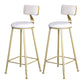 Glam Armless Backrest Counter Stool Iron Beauty Shop Bar Stool with Velvet Cushion White 2 Piece Set Clearhalo 'Bar Furniture' 'Bar Stools' 'bar_stools' 'furn' 'furn_bar_stools' 'furniture_bar_stools' 'Kitchen & Dining Furniture' 'kitchen&dining_furn' 'kitchen' 'kitchen_furn' Furniture' 4545240
