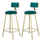 Glam Armless Backrest Counter Stool Iron Beauty Shop Bar Stool with Velvet Cushion Green 2 Piece Set Clearhalo 'Bar Furniture' 'Bar Stools' 'bar_stools' 'furn' 'furn_bar_stools' 'furniture_bar_stools' 'Kitchen & Dining Furniture' 'kitchen&dining_furn' 'kitchen' 'kitchen_furn' Furniture' 4545243