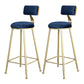 Glam Armless Backrest Counter Stool Iron Beauty Shop Bar Stool with Velvet Cushion Blue 2 Piece Set Clearhalo 'Bar Furniture' 'Bar Stools' 'bar_stools' 'furn' 'furn_bar_stools' 'furniture_bar_stools' 'Kitchen & Dining Furniture' 'kitchen&dining_furn' 'kitchen' 'kitchen_furn' Furniture' 4545246