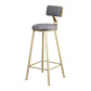 Glam Armless Backrest Counter Stool Iron Beauty Shop Bar Stool with Velvet Cushion Gray 1 Piece Clearhalo 'Bar Furniture' 'Bar Stools' 'bar_stools' 'furn' 'furn_bar_stools' 'furniture_bar_stools' 'Kitchen & Dining Furniture' 'kitchen&dining_furn' 'kitchen' 'kitchen_furn' Furniture' 4545248