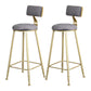 Glam Armless Backrest Counter Stool Iron Beauty Shop Bar Stool with Velvet Cushion Gray 2 Piece Set Clearhalo 'Bar Furniture' 'Bar Stools' 'bar_stools' 'furn' 'furn_bar_stools' 'furniture_bar_stools' 'Kitchen & Dining Furniture' 'kitchen&dining_furn' 'kitchen' 'kitchen_furn' Furniture' 4545249