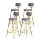 Glam Armless Backrest Counter Stool Iron Beauty Shop Bar Stool with Velvet Cushion Gray 4 Piece Set Clearhalo 'Bar Furniture' 'Bar Stools' 'bar_stools' 'furn' 'furn_bar_stools' 'furniture_bar_stools' 'Kitchen & Dining Furniture' 'kitchen&dining_furn' 'kitchen' 'kitchen_furn' Furniture' 4545250