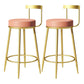 Modern Armless Backrest Counter Stool Iron Bedroom Bar Stool with Cushion Pink 2 Piece Set Clearhalo 'Bar Furniture' 'Bar Stools' 'bar_stools' 'furn' 'furn_bar_stools' 'furniture_bar_stools' 'Kitchen & Dining Furniture' 'kitchen&dining_furn' 'kitchen' 'kitchen_furn' Furniture' 4545384