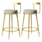 Modern Armless Backrest Counter Stool Iron Bedroom Bar Stool with Cushion Grey 2 Piece Set Clearhalo 'Bar Furniture' 'Bar Stools' 'bar_stools' 'furn' 'furn_bar_stools' 'furniture_bar_stools' 'Kitchen & Dining Furniture' 'kitchen&dining_furn' 'kitchen' 'kitchen_furn' Furniture' 4545387
