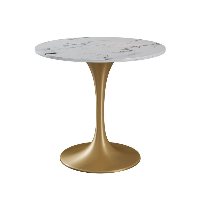 Modern 1/4/5 Pieces Dining Sintered Stone Dining Table Set with Metal Legs for Kitchen White 31"L x 31"W Clearhalo 'Dining Room Sets' 'Dining Tables & Seating' 'dining_room_set' 'furn' 'furn_dining_room_set' 'Furniture' 'furniture_dining_room_set' 'Kitchen & Dining Furniture' 'kitchen&dining_furn' 'kitchen' 4545527