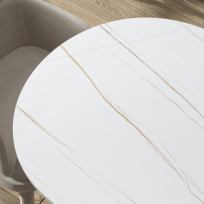 Metal Contemporary White Dining Table Sintered Stone Top Table for Dining Room Clearhalo ' dining_table' 'Dining Tables & Seating' 'Dining Tables' 'furn' 'furn_dining_table' 'Furniture' 'furniture_dining_table' 'Kitchen & Dining Furniture' 'kitchen&dining_furn' 'kitchen' 'kitchen_dining_table' 4545940