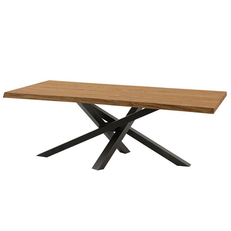Rectangle Luxury Style Dining Table Solid Wood Fixed Table for Kitchen Black Without Chairs Clearhalo ' dining_table' 'Dining Tables & Seating' 'Dining Tables' 'furn' 'furn_dining_table' 'Furniture' 'furniture_dining_table' 'Kitchen & Dining Furniture' 'kitchen&dining_furn' 'kitchen' 'kitchen_dining_table' 4546114
