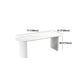Stone Double Pedestal Dining Table Simplicity Style Dining Room Table for Home Clearhalo ' dining_table' 'Dining Tables & Seating' 'Dining Tables' 'furn' 'furn_dining_table' 'Furniture' 'furniture_dining_table' 'Kitchen & Dining Furniture' 'kitchen&dining_furn' 'kitchen' 'kitchen_dining_table' 4546170