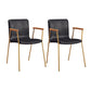 Scandinavian Design Solid Back Arm Side Chair Leather Dining Side Chair Black 2 Piece Set Brass Gold Clearhalo ' kitchen&dining_furn' 'Dining Chairs' 'Dining Tables & Seating' 'dining_chair' 'furn' 'furn_dining_chair' 'Furniture' 'furniture_dining_chair' 'Kitchen & Dining Furniture' 'kitchen' 4546719