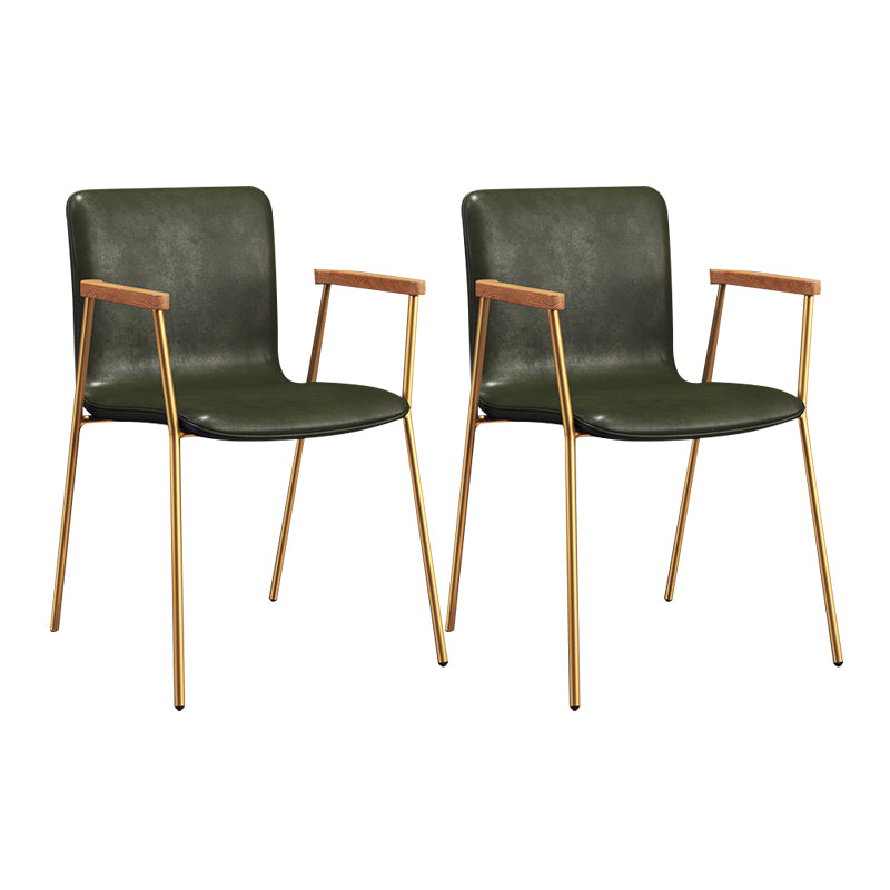 Scandinavian Design Solid Back Arm Side Chair Leather Dining Side Chair Green 2 Piece Set Brass Gold Clearhalo ' kitchen&dining_furn' 'Dining Chairs' 'Dining Tables & Seating' 'dining_chair' 'furn' 'furn_dining_chair' 'Furniture' 'furniture_dining_chair' 'Kitchen & Dining Furniture' 'kitchen' 4546728