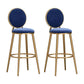 Glam Armless Backrest Counter Stool Steel Bookstore Bar Stool with Velvet Cushion Blue 2 Piece Set Clearhalo 'Bar Furniture' 'Bar Stools' 'bar_stools' 'furn' 'furn_bar_stools' 'furniture_bar_stools' 'Kitchen & Dining Furniture' 'kitchen&dining_furn' 'kitchen' 'kitchen_furn' Furniture' 4555436