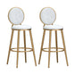 Glam Armless Backrest Counter Stool Steel Bookstore Bar Stool with Velvet Cushion White 2 Piece Set Clearhalo 'Bar Furniture' 'Bar Stools' 'bar_stools' 'furn' 'furn_bar_stools' 'furniture_bar_stools' 'Kitchen & Dining Furniture' 'kitchen&dining_furn' 'kitchen' 'kitchen_furn' Furniture' 4555441