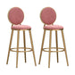Glam Armless Backrest Counter Stool Steel Bookstore Bar Stool with Velvet Cushion Pink 2 Piece Set Clearhalo 'Bar Furniture' 'Bar Stools' 'bar_stools' 'furn' 'furn_bar_stools' 'furniture_bar_stools' 'Kitchen & Dining Furniture' 'kitchen&dining_furn' 'kitchen' 'kitchen_furn' Furniture' 4555450