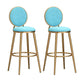 Glam Armless Backrest Counter Stool Steel Bookstore Bar Stool with Velvet Cushion Sky Blue 2 Piece Set Clearhalo 'Bar Furniture' 'Bar Stools' 'bar_stools' 'furn' 'furn_bar_stools' 'furniture_bar_stools' 'Kitchen & Dining Furniture' 'kitchen&dining_furn' 'kitchen' 'kitchen_furn' Furniture' 4555453