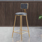 Glam Armless Backrest Counter Stool Iron Bar Stool with Velvet Cushion and Pedal Clearhalo 'Bar Furniture' 'Bar Stools' 'bar_stools' 'furn' 'furn_bar_stools' 'furniture_bar_stools' 'Kitchen & Dining Furniture' 'kitchen&dining_furn' 'kitchen' 'kitchen_furn' Furniture' 4555672