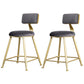 Glam Armless Backrest Counter Stool Iron Bar Stool with Velvet Cushion and Pedal Gray 2 Piece Set Short Stool(18"H) Clearhalo 'Bar Furniture' 'Bar Stools' 'bar_stools' 'furn' 'furn_bar_stools' 'furniture_bar_stools' 'Kitchen & Dining Furniture' 'kitchen&dining_furn' 'kitchen' 'kitchen_furn' Furniture' 4555694