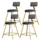 Glam Armless Backrest Counter Stool Iron Bar Stool with Velvet Cushion and Pedal Gray 4 Piece Set Short Stool(18"H) Clearhalo 'Bar Furniture' 'Bar Stools' 'bar_stools' 'furn' 'furn_bar_stools' 'furniture_bar_stools' 'Kitchen & Dining Furniture' 'kitchen&dining_furn' 'kitchen' 'kitchen_furn' Furniture' 4555695