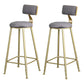 Glam Armless Backrest Counter Stool Iron Bar Stool with Velvet Cushion and Pedal Gray 2 Piece Set Clearhalo 'Bar Furniture' 'Bar Stools' 'bar_stools' 'furn' 'furn_bar_stools' 'furniture_bar_stools' 'Kitchen & Dining Furniture' 'kitchen&dining_furn' 'kitchen' 'kitchen_furn' Furniture' 4555712