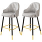 Scandinavia Style Bar-stool Metal Legs Leather Bucket Seat for Kitchen Bar Grey 2 Piece Set Clearhalo 'Bar Furniture' 'Bar Stools' 'bar_stools' 'furn' 'furn_bar_stools' 'furniture_bar_stools' 'Kitchen & Dining Furniture' 'kitchen&dining_furn' 'kitchen' 'kitchen_furn' Furniture' 4556071