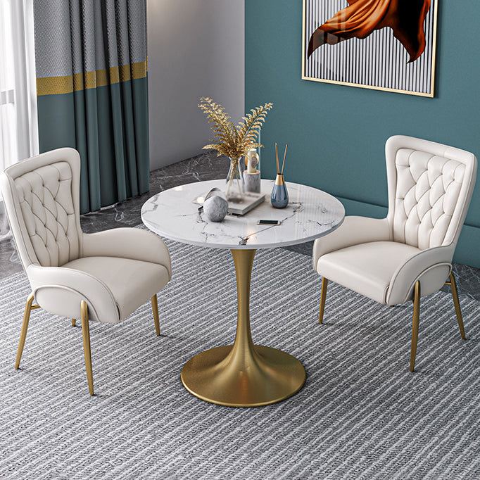 Glam Style 1/2/3/4/5 Pieces Dining Set Stone Top Dining Furniture Set for Living Room 3 Pieces: Table, 2 Chairs Clearhalo 'Dining Room Sets' 'Dining Tables & Seating' 'dining_room_set' 'furn' 'furn_dining_room_set' 'Furniture' 'furniture_dining_room_set' 'Kitchen & Dining Furniture' 'kitchen&dining_furn' 'kitchen' 4556563