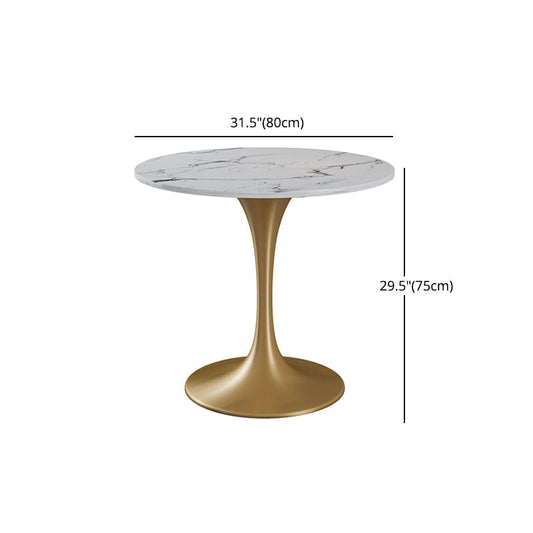 Glam Style 1/2/3/4/5 Pieces Dining Set Stone Top Dining Furniture Set for Living Room Clearhalo 'Dining Room Sets' 'Dining Tables & Seating' 'dining_room_set' 'furn' 'furn_dining_room_set' 'Furniture' 'furniture_dining_room_set' 'Kitchen & Dining Furniture' 'kitchen&dining_furn' 'kitchen' 4556582