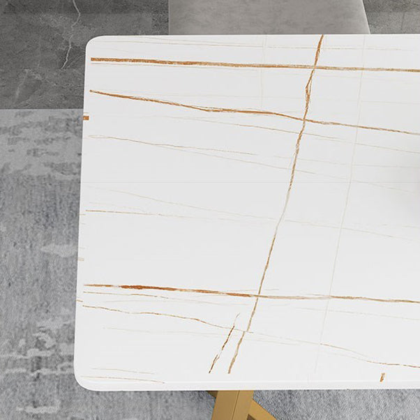 Rectangle Glam Style Dining Table Double Pedestal Table with Sintered Stone Clearhalo ' dining_table' 'Dining Tables & Seating' 'Dining Tables' 'furn' 'furn_dining_table' 'Furniture' 'furniture_dining_table' 'Kitchen & Dining Furniture' 'kitchen&dining_furn' 'kitchen' 'kitchen_dining_table' 4556762