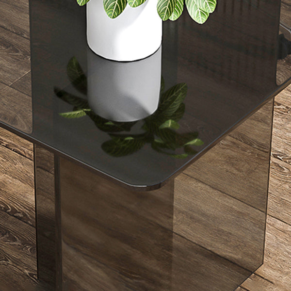 Acrylic Contemporary Rectangular Dining Table Clear Glass Table with Double Pedestal Base Clearhalo ' dining_table' 'Dining Tables & Seating' 'Dining Tables' 'furn' 'furn_dining_table' 'Furniture' 'furniture_dining_table' 'Kitchen & Dining Furniture' 'kitchen&dining_furn' 'kitchen' 'kitchen_dining_table' 4557038