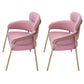 Glam Velvet Arm Dining Chairs Metal Dining Chair for Restaurant Use Pink 2 Piece Set Clearhalo ' kitchen&dining_furn' 'Dining Chairs' 'Dining Tables & Seating' 'dining_chair' 'furn' 'furn_dining_chair' 'Furniture' 'furniture_dining_chair' 'Kitchen & Dining Furniture' 'kitchen' 4557811