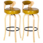 Modern Armless Backrest Counter Stool Wood Kitchen Bar Stool with Pedal and Cushion Ginger Natural 2 Piece Set Clearhalo 'Bar Furniture' 'Bar Stools' 'bar_stools' 'furn' 'furn_bar_stools' 'furniture_bar_stools' 'Kitchen & Dining Furniture' 'kitchen&dining_furn' 'kitchen' 'kitchen_furn' Furniture' 4571124