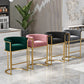 Glam Armless Backrest Counter Stool Iron Jewelry Store Bar Stool with Velvet Cushion Clearhalo 'Bar Furniture' 'Bar Stools' 'bar_stools' 'furn' 'furn_bar_stools' 'furniture_bar_stools' 'Kitchen & Dining Furniture' 'kitchen&dining_furn' 'kitchen' 'kitchen_furn' Furniture' 4571299
