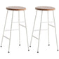 Modern Armless Backless Counter Stool Steel Dessert Shop Bar Stool with Wooden Seat Gloss White 2 Piece Set Counter Stool(26"H) Clearhalo 'Bar Furniture' 'Bar Stools' 'bar_stools' 'furn' 'furn_bar_stools' 'furniture_bar_stools' 'Kitchen & Dining Furniture' 'kitchen&dining_furn' 'kitchen' 'kitchen_furn' Furniture' 4571648