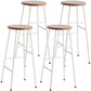 Modern Armless Backless Counter Stool Steel Dessert Shop Bar Stool with Wooden Seat Gloss White 4 Piece Set Bar Stool(30"H) Clearhalo 'Bar Furniture' 'Bar Stools' 'bar_stools' 'furn' 'furn_bar_stools' 'furniture_bar_stools' 'Kitchen & Dining Furniture' 'kitchen&dining_furn' 'kitchen' 'kitchen_furn' Furniture' 4571649