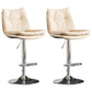 Contemporary Swivel Adjustable Height Barstool Indoor Bar Stool with Low Back White Silver 2 Piece Set Clearhalo 'Bar Furniture' 'Bar Stools' 'bar_stools' 'furn' 'furn_bar_stools' 'furniture_bar_stools' 'Kitchen & Dining Furniture' 'kitchen&dining_furn' 'kitchen' 'kitchen_furn' Furniture' 4571698