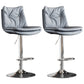 Contemporary Swivel Adjustable Height Barstool Indoor Bar Stool with Low Back Gray-Blue Silver 2 Piece Set Clearhalo 'Bar Furniture' 'Bar Stools' 'bar_stools' 'furn' 'furn_bar_stools' 'furniture_bar_stools' 'Kitchen & Dining Furniture' 'kitchen&dining_furn' 'kitchen' 'kitchen_furn' Furniture' 4571704