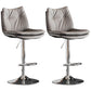 Contemporary Swivel Adjustable Height Barstool Indoor Bar Stool with Low Back Grey Silver 2 Piece Set Clearhalo 'Bar Furniture' 'Bar Stools' 'bar_stools' 'furn' 'furn_bar_stools' 'furniture_bar_stools' 'Kitchen & Dining Furniture' 'kitchen&dining_furn' 'kitchen' 'kitchen_furn' Furniture' 4571710