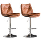 Contemporary Swivel Adjustable Height Barstool Indoor Bar Stool with Low Back Brown Silver 2 Piece Set Clearhalo 'Bar Furniture' 'Bar Stools' 'bar_stools' 'furn' 'furn_bar_stools' 'furniture_bar_stools' 'Kitchen & Dining Furniture' 'kitchen&dining_furn' 'kitchen' 'kitchen_furn' Furniture' 4571722